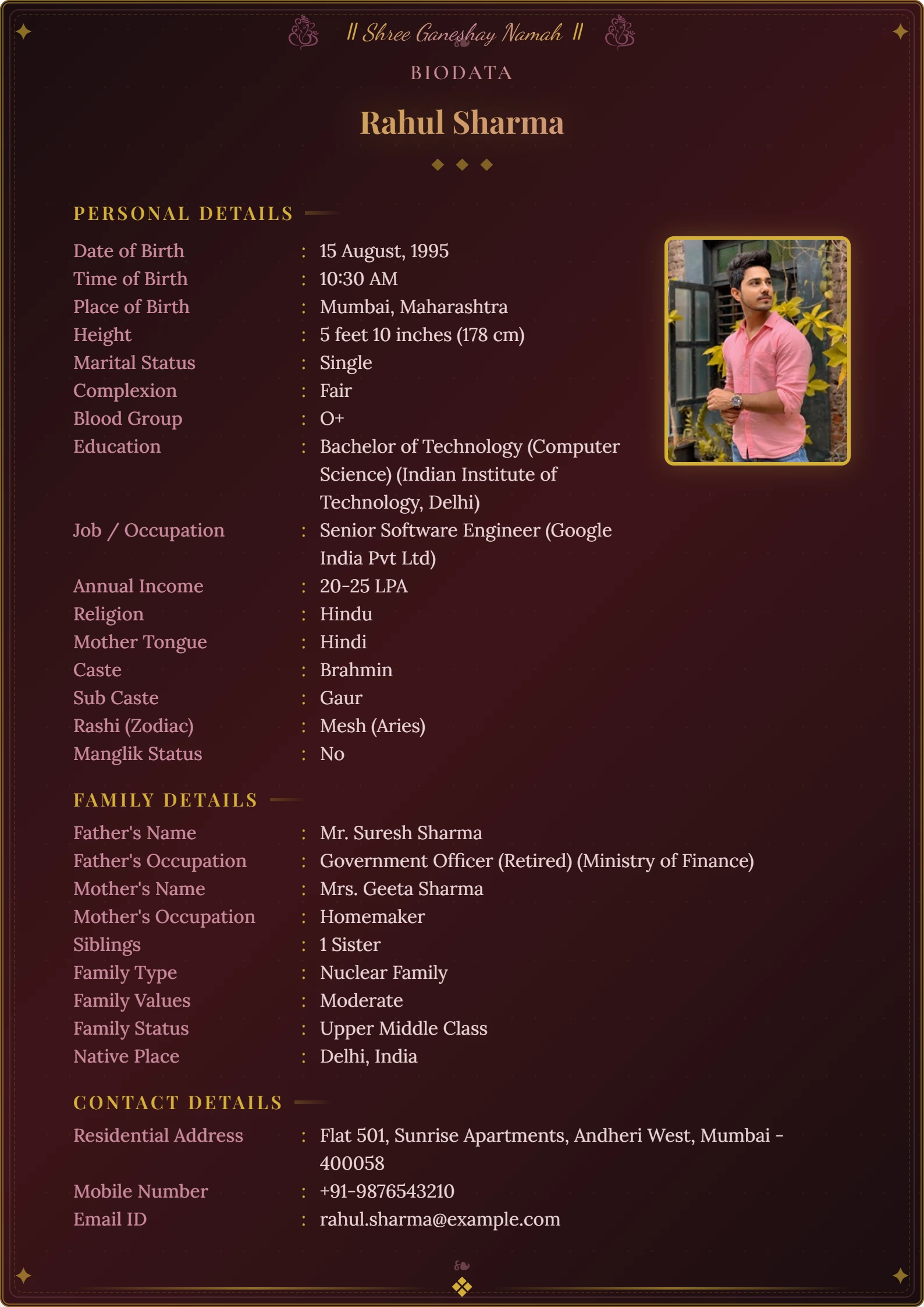 Professional matrimonial biodata format sample